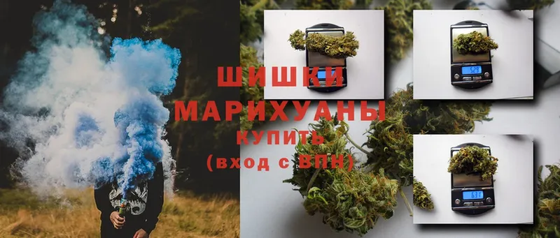 Бошки Шишки марихуана  Карасук 